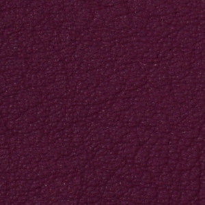 2002 Berry - Color