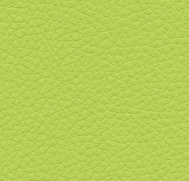 F6471019 Lime - Colour