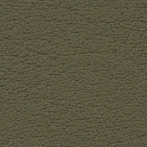 5002 Moss - Color