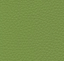 F6471014 Olive green - Couleur