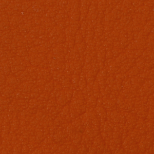 6019 Orange - Color