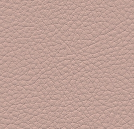 F6471026 Rosé - Color