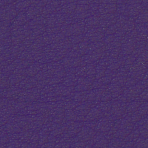 2118 Ultra violet - Couleur