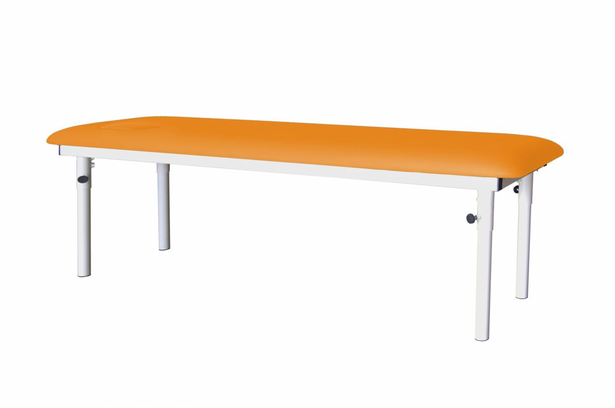 CDF-10 Table à hauteur fixe en 1 plan avec pieds démontables et réglables. 1